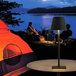 Desk Lamp